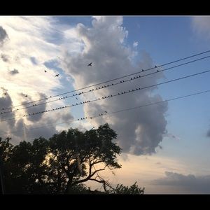 Meet your Posher, Austin